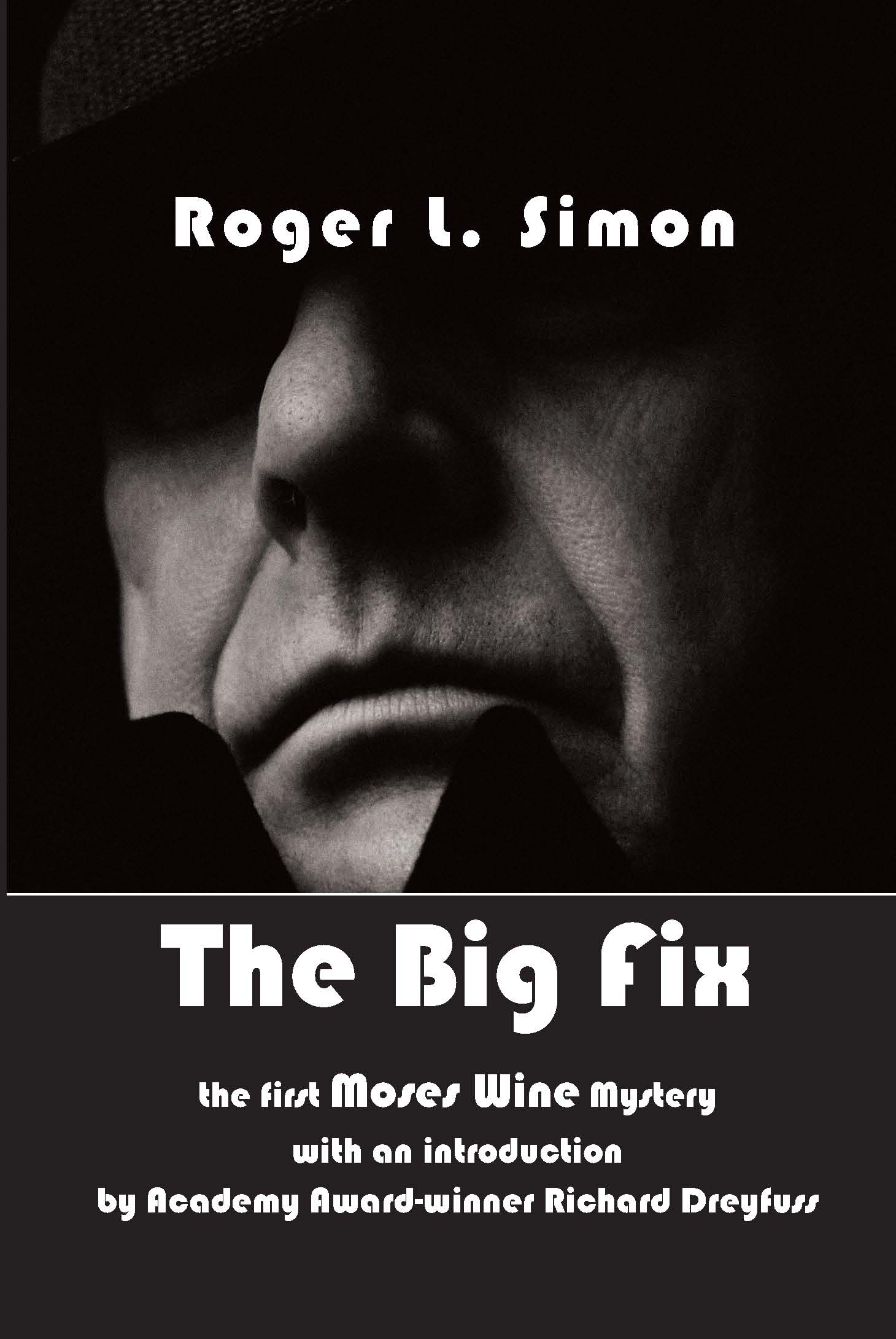 Cover of The Big Fix