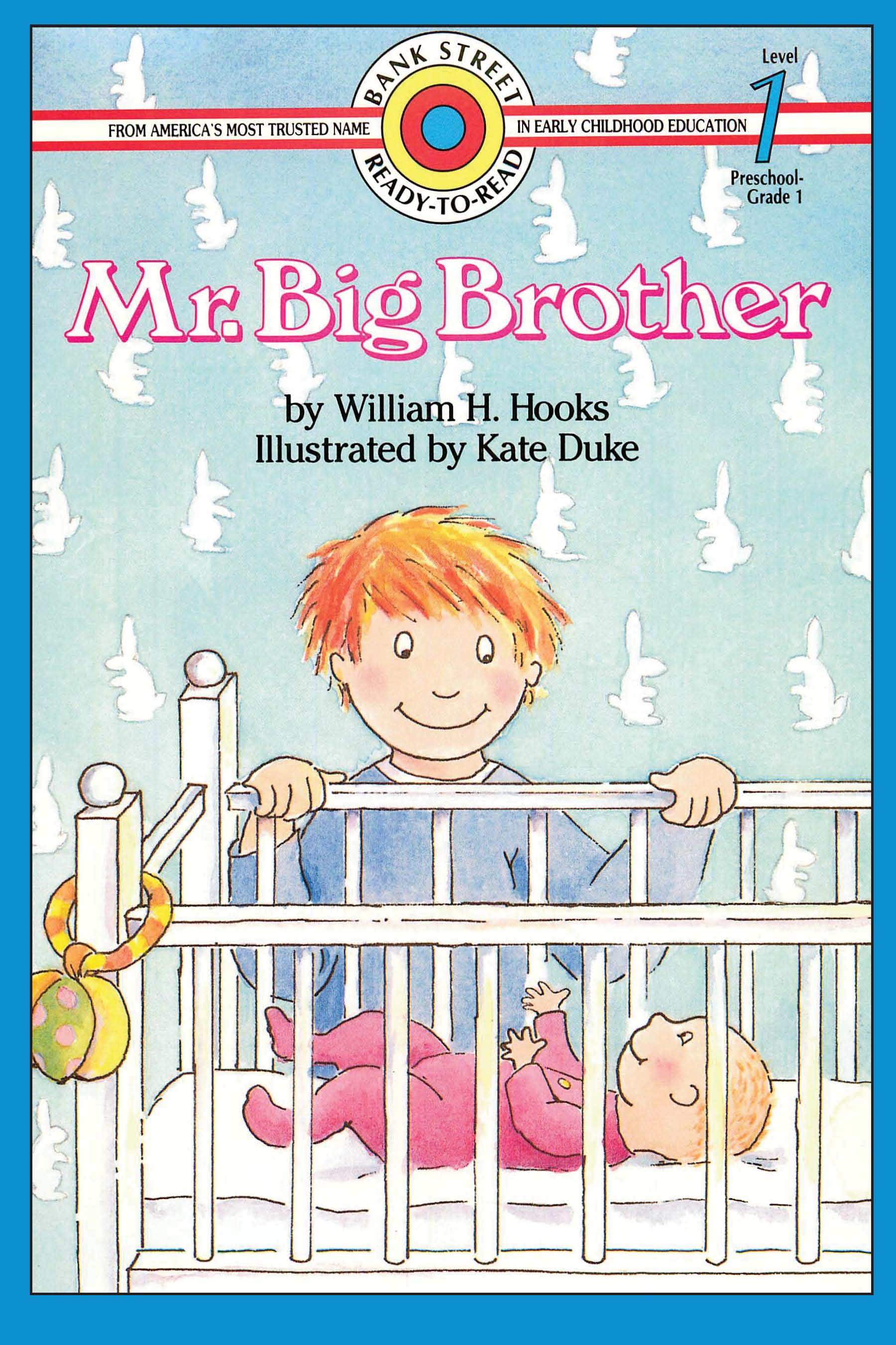 Cover of Mr. Big Brother (Lib) Level 1